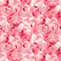 mmDDC12917-Bubble Gum